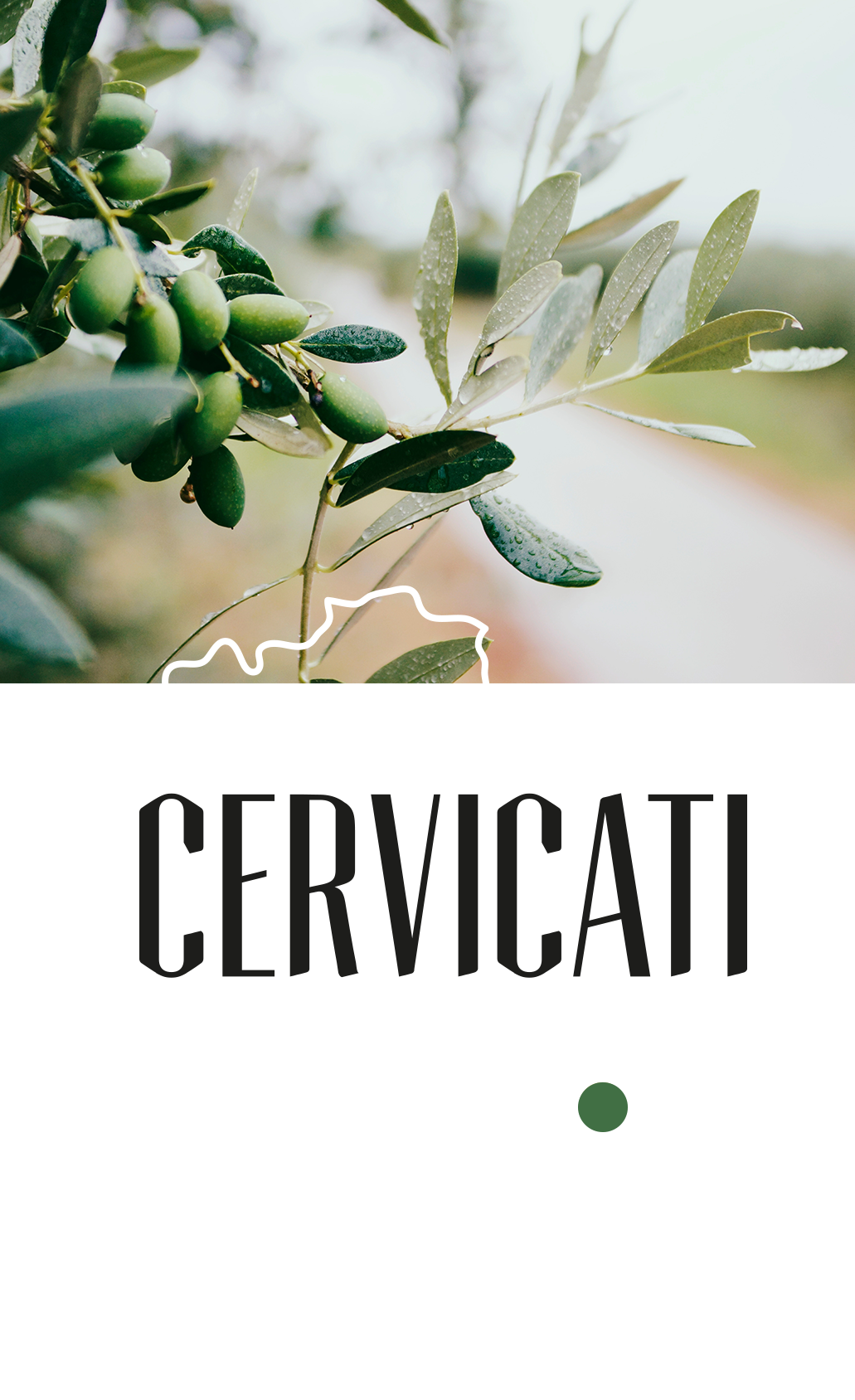 olive oil packaging il nostro Italy Italia cervicati